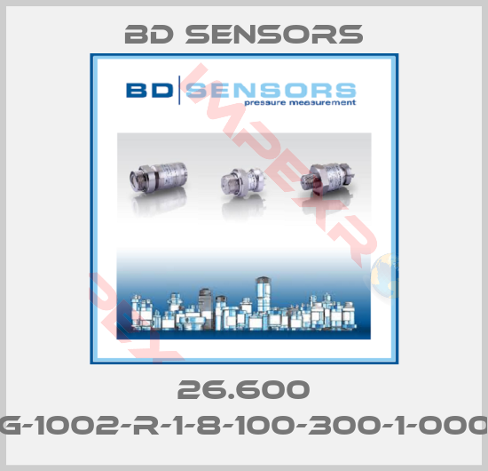 Bd Sensors-26.600 G-1002-R-1-8-100-300-1-000
