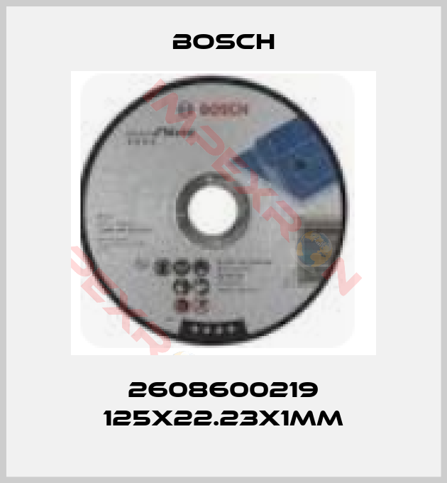 Bosch-2608600219 125X22.23X1MM